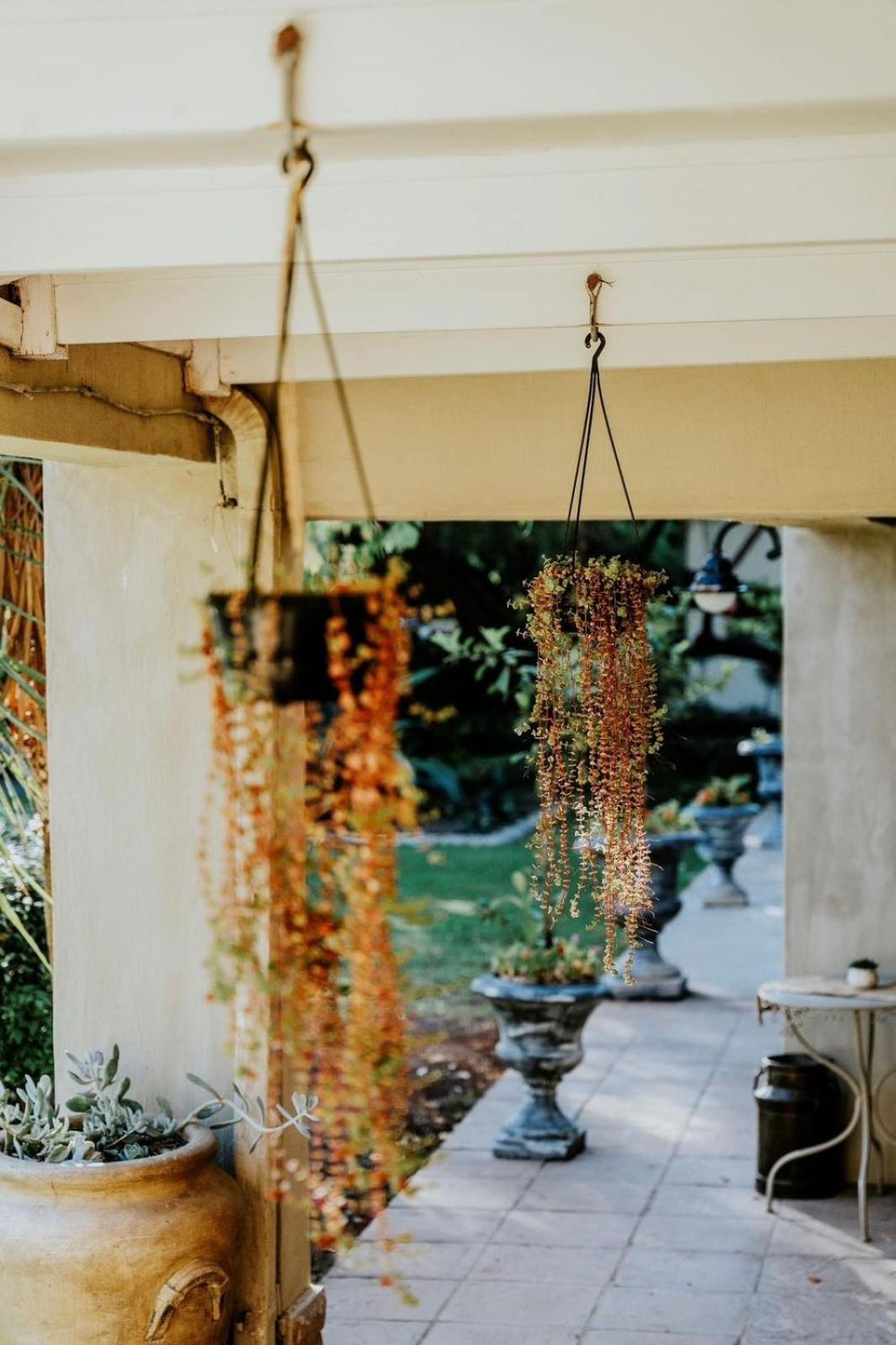 Villiera Guesthouse Douglas Luaran gambar